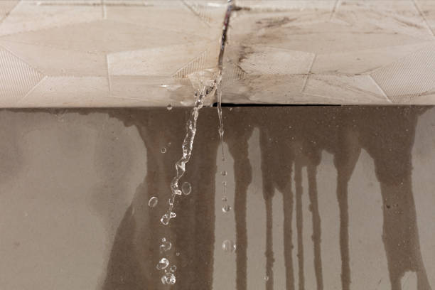 Professional Water Damage Repair technician working in Howard, OH